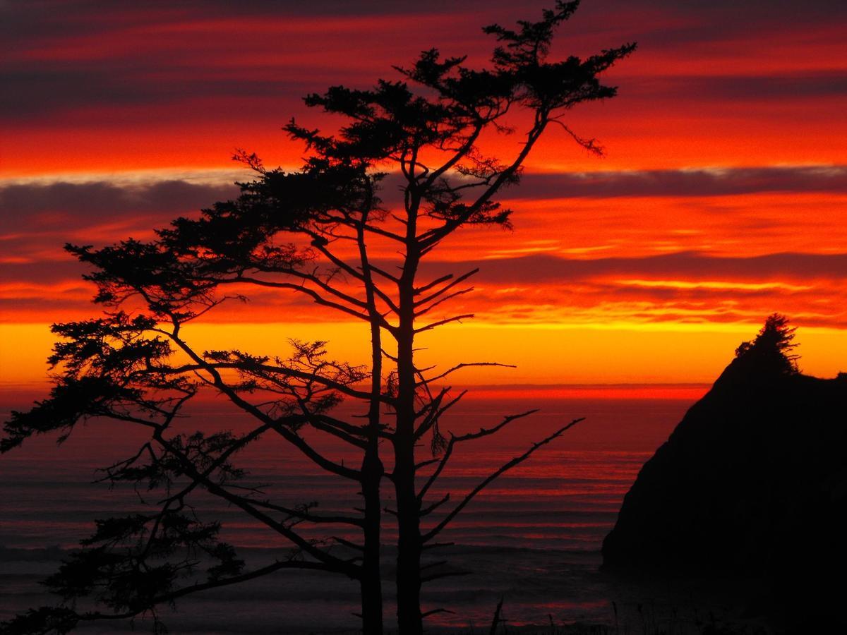 Agate Beach Motel Ньюпорт Екстер'єр фото